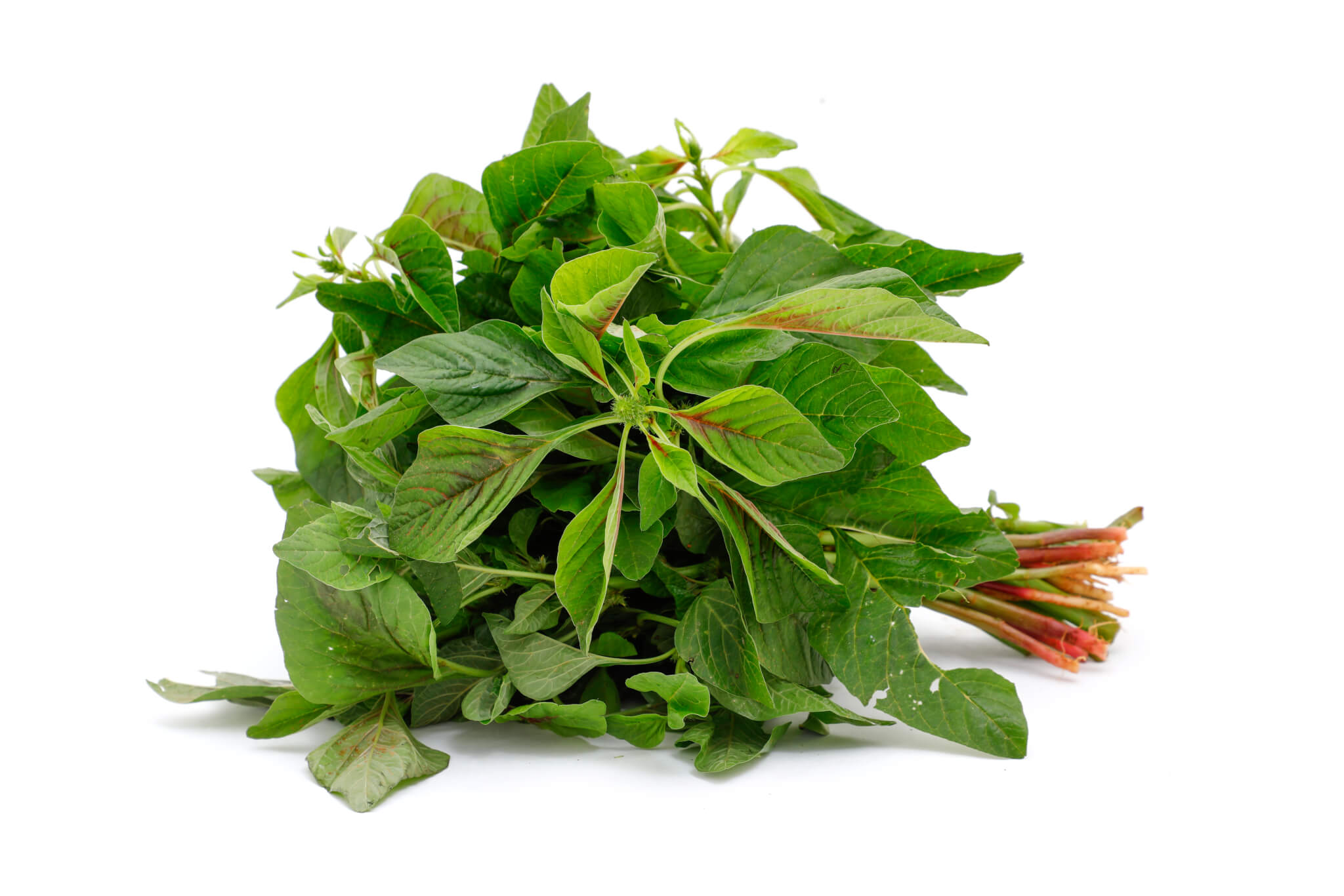 Arive Soppu Leaves 500 Gms